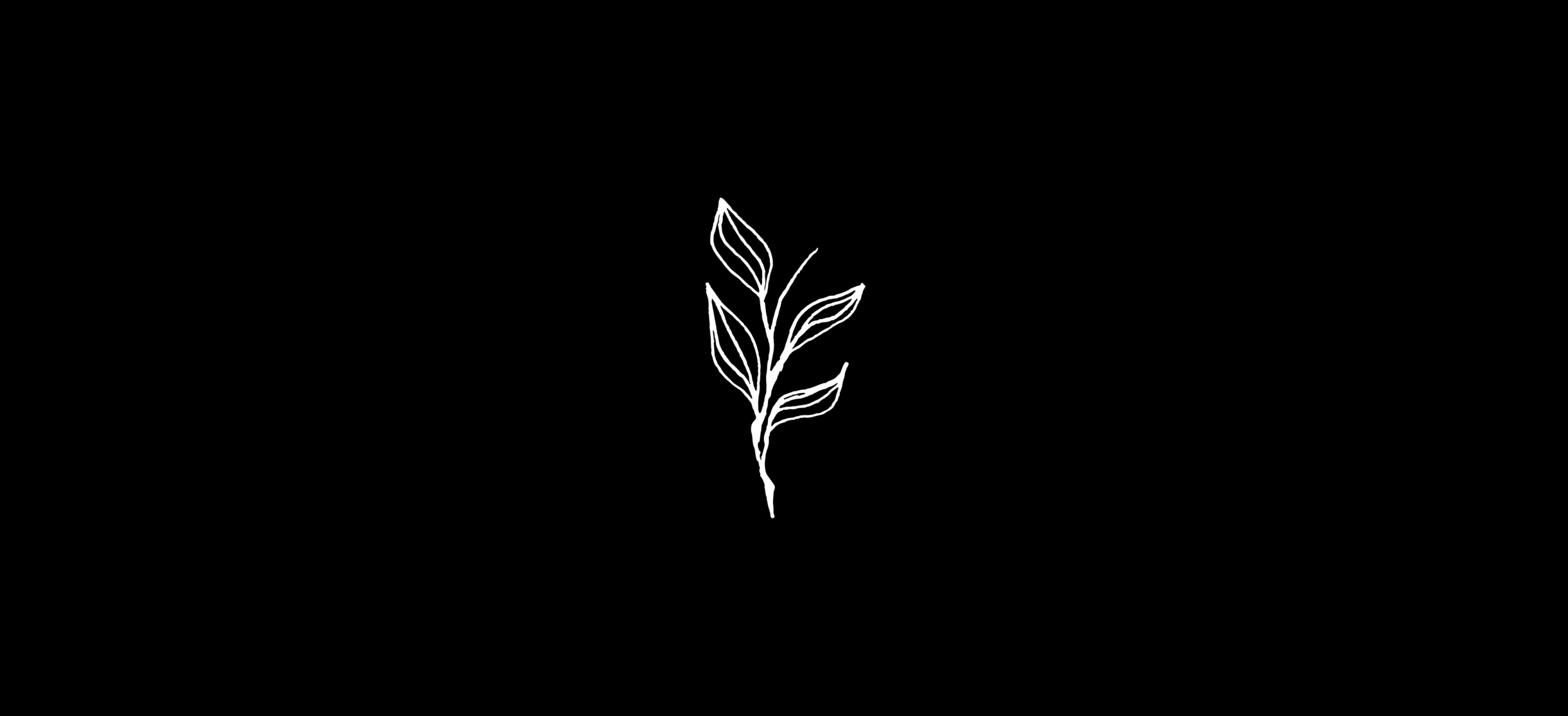 Logotipų pavyzdžiai verslui | logo portfolio