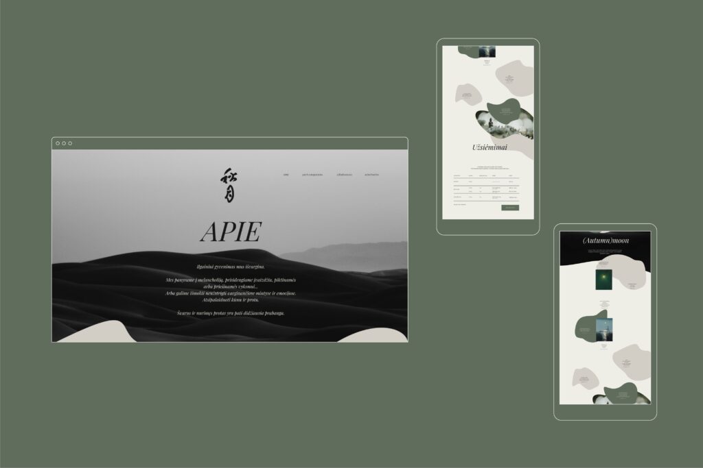 svetainiu dizainas ui ux