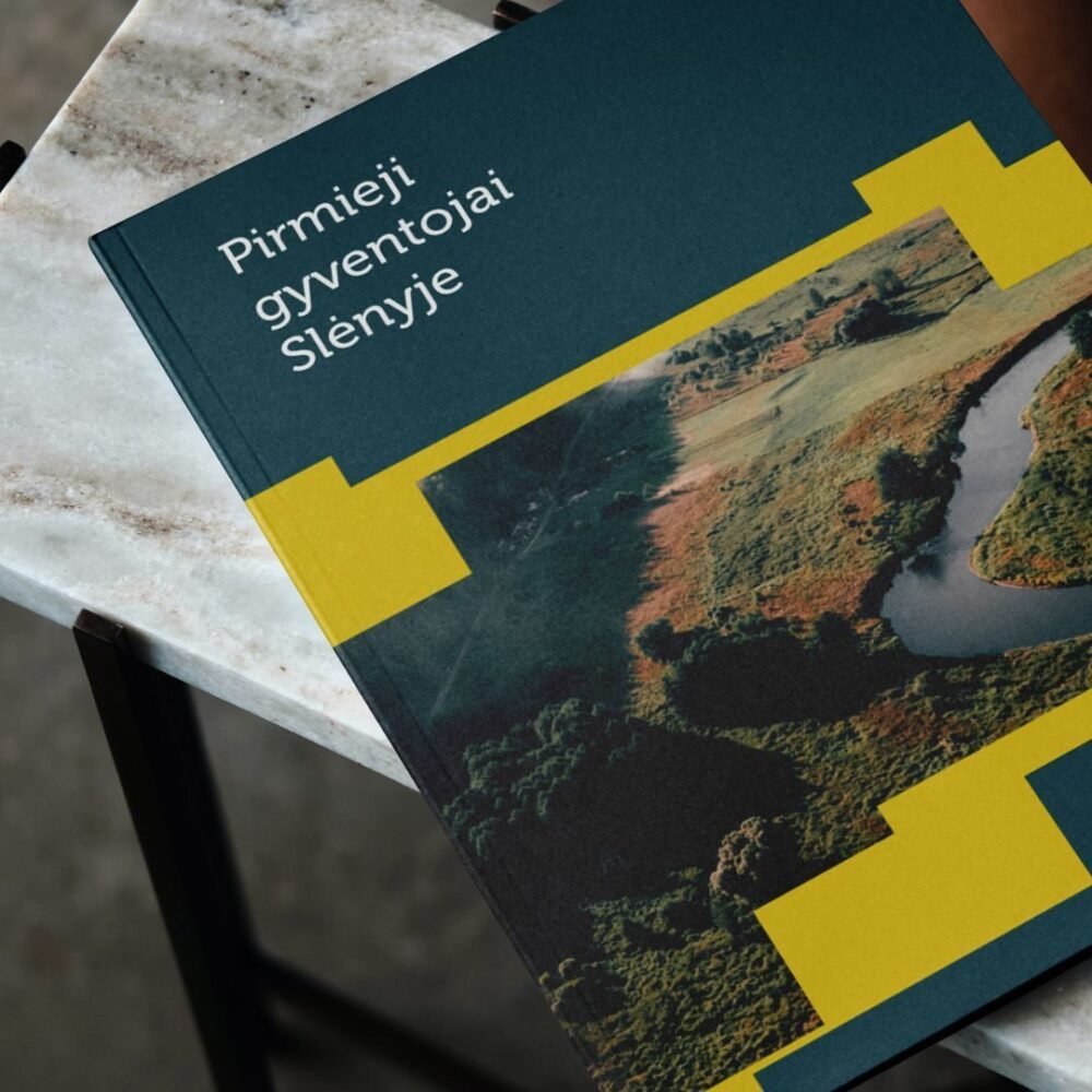 nt įmonės strategija