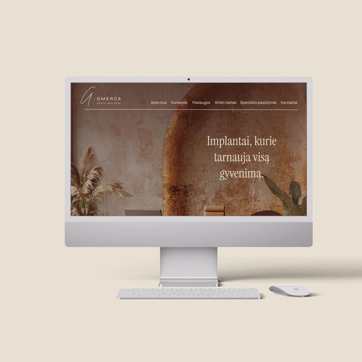 web dizainas