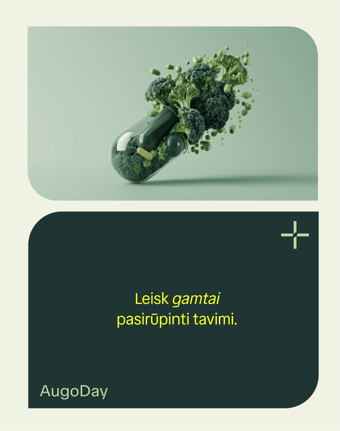 Reklamos dizainas - socialinių tinklų dizainas