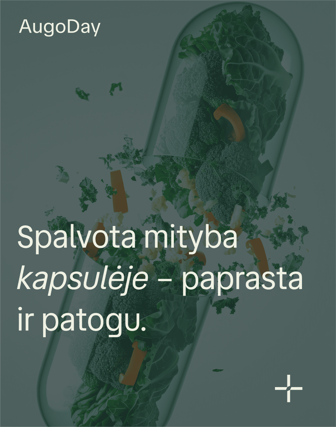 Reklamos dizainas - socialinių tinklų dizainas