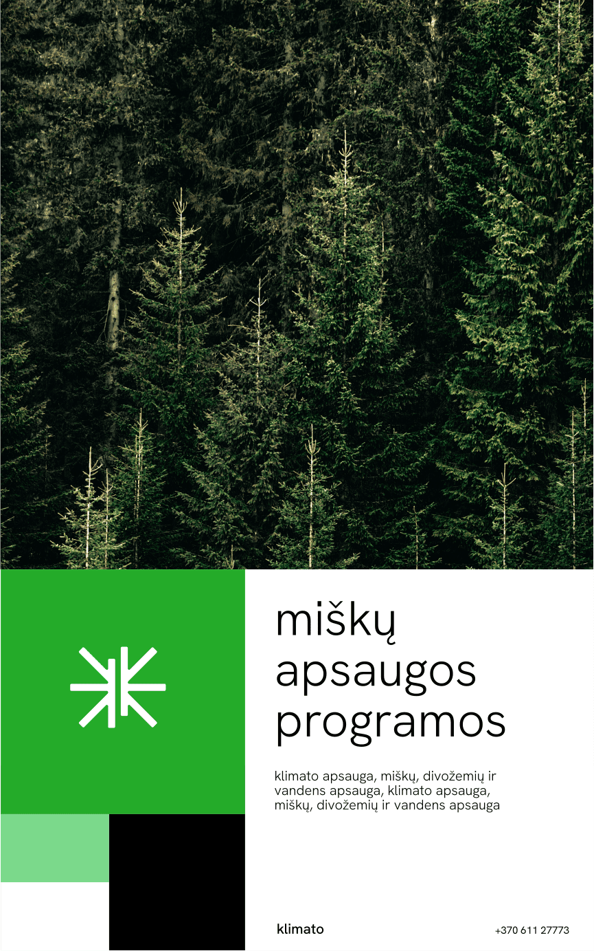 Reklamos dizainas - socialinių tinklų dizainas