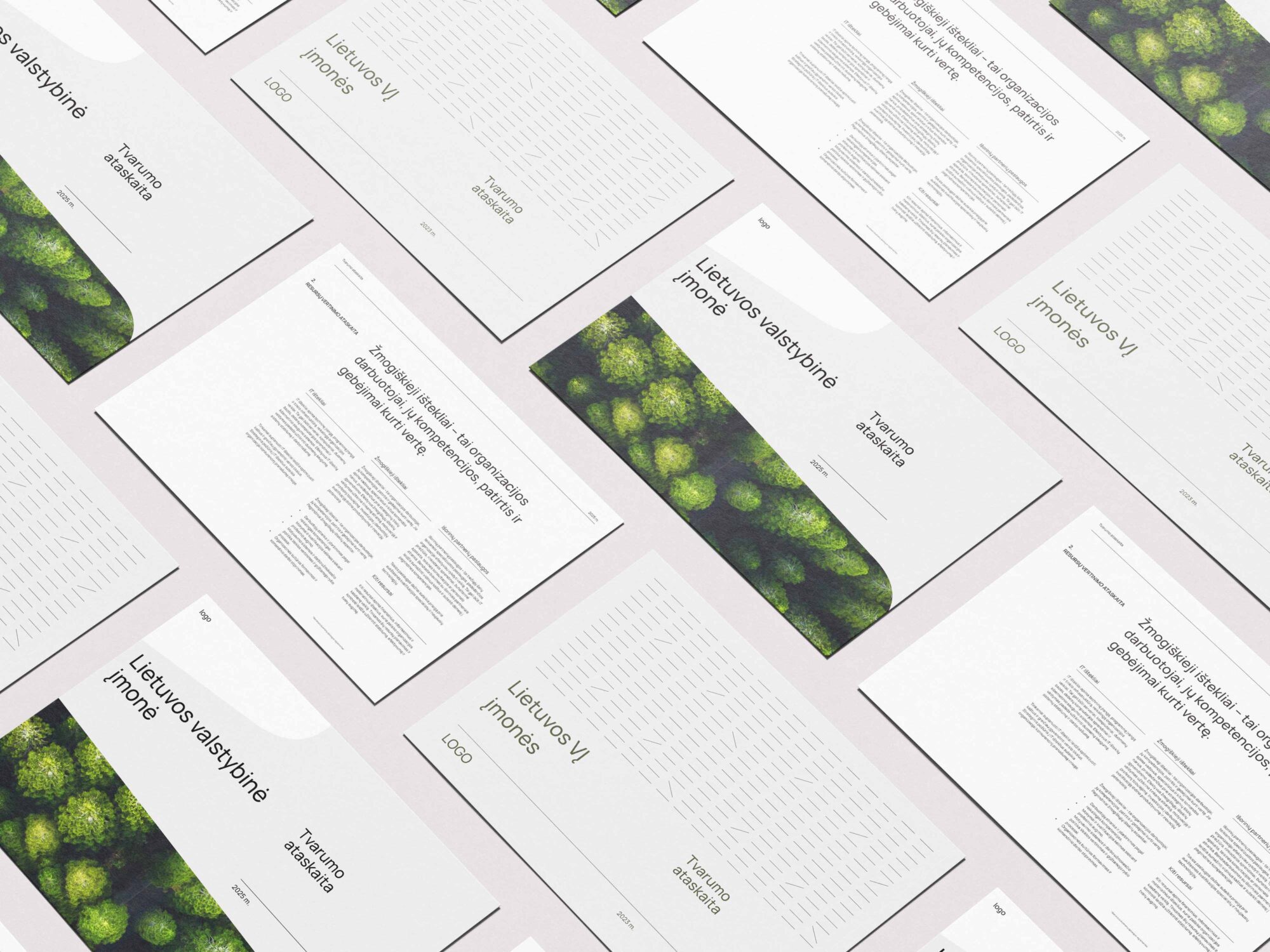 metinės ataskaitos dizainas