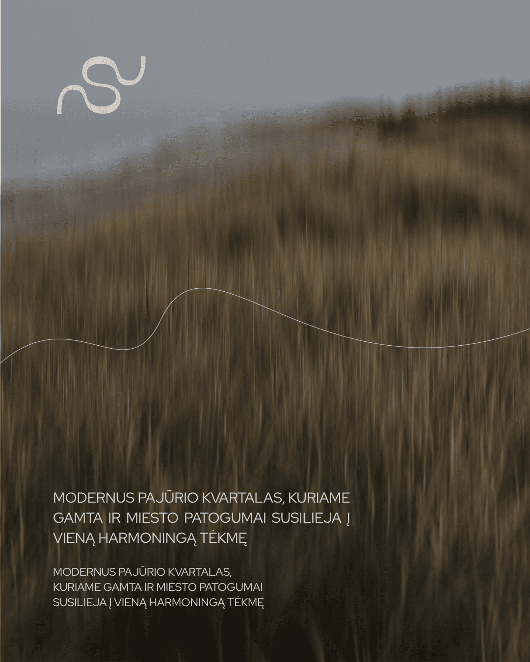 Reklamos dizainas - socialinių tinklų dizainas