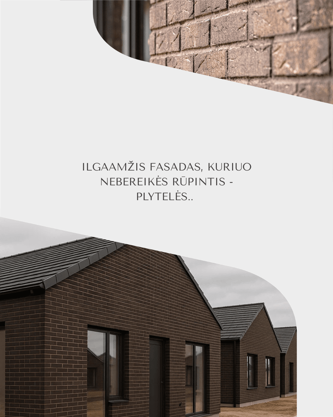 Reklamos dizainas - socialinių tinklų dizainas