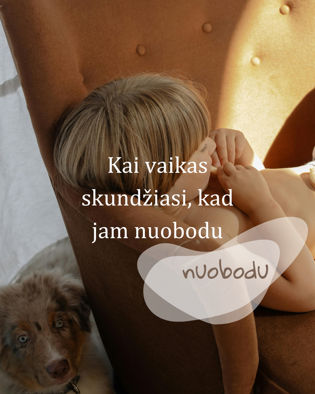 Reklamos dizainas - socialinių tinklų dizainas