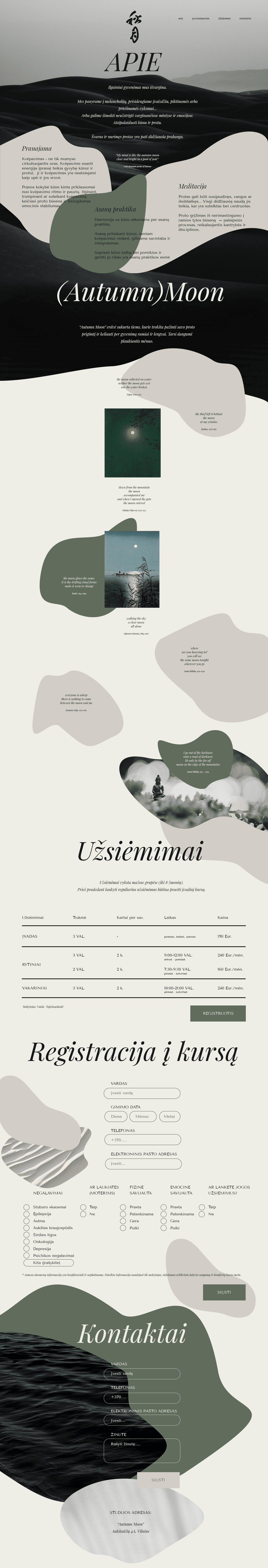 WEB dizainas 5 būdai, gali padidinti pardavimus