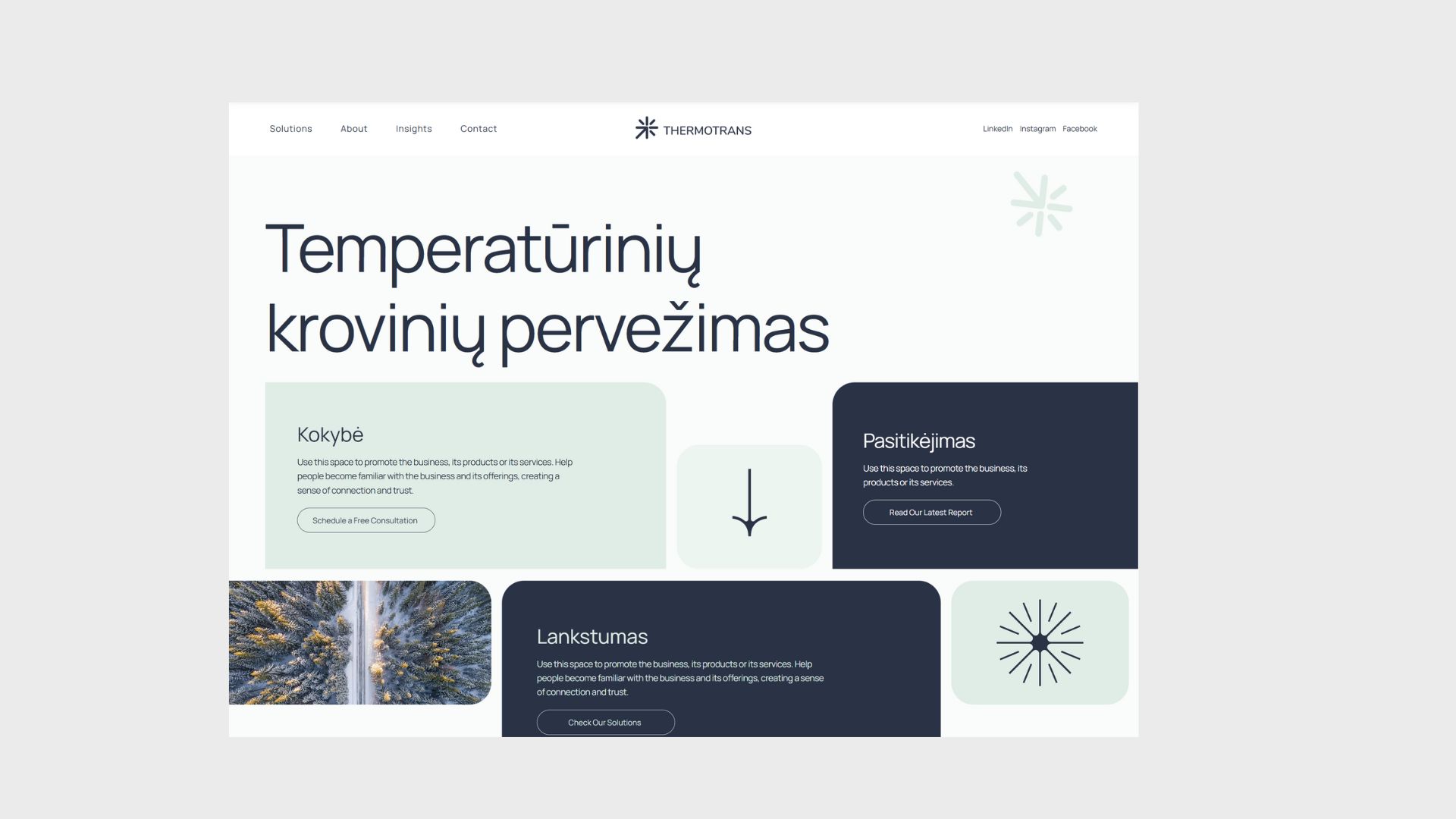 Thermotrans brandingas ir web dizainas