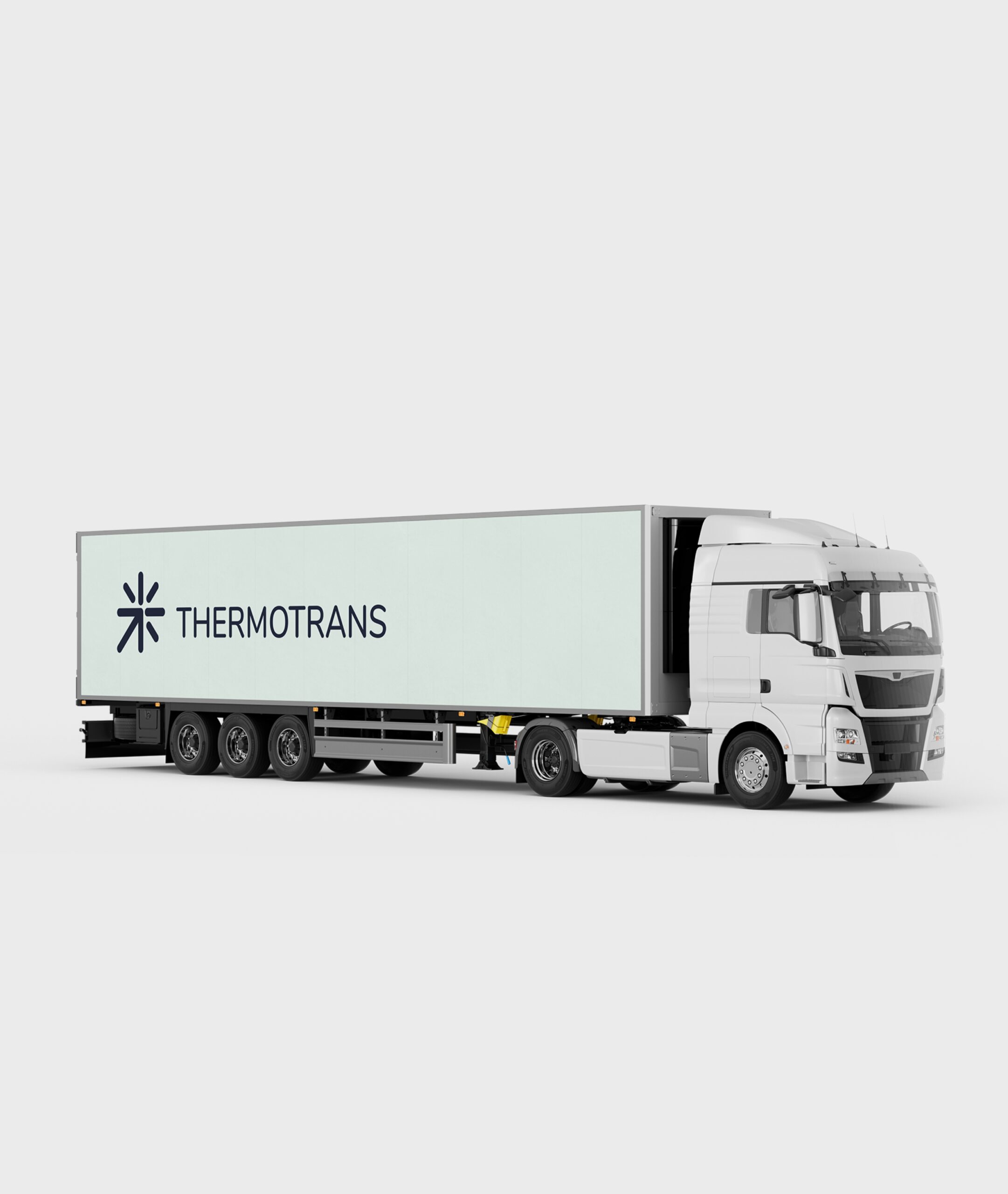 Thermotrans brandingas ir web dizainas