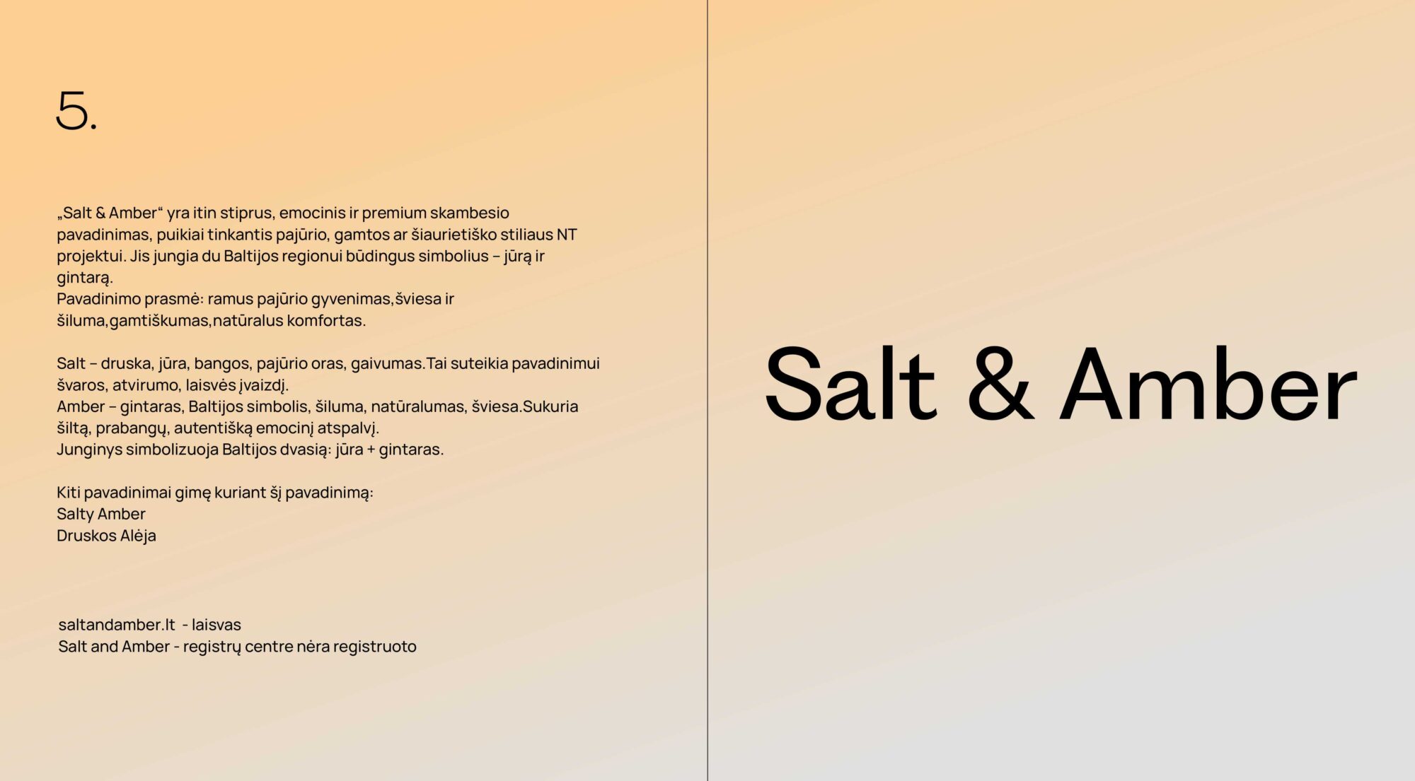 PAVADINIMŲ KŪRIMAS NT PROJEKTAS SALT & AMBER