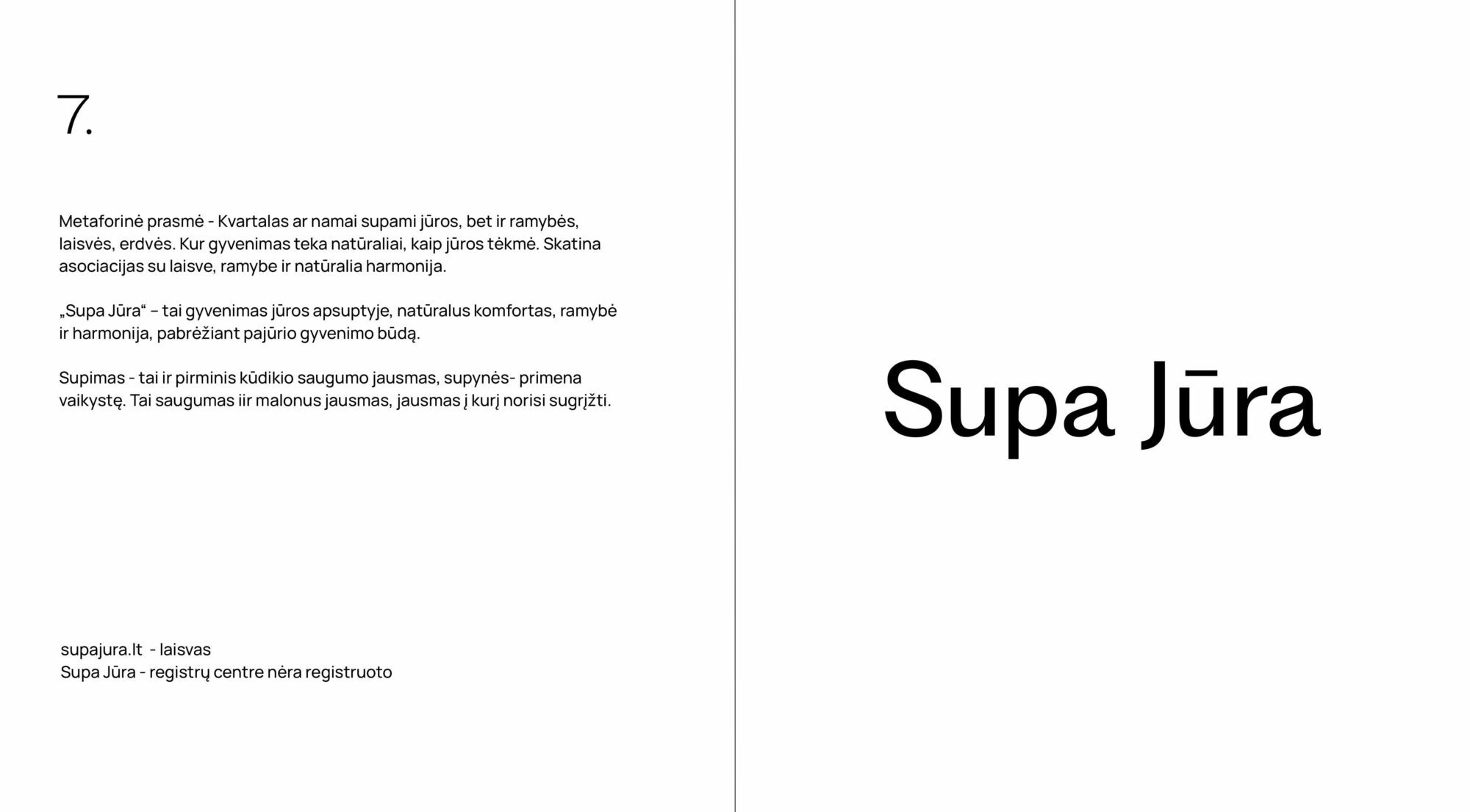 PAVADINIMŲ KŪRIMAS NT PROJEKTAS SUPA JŪRA