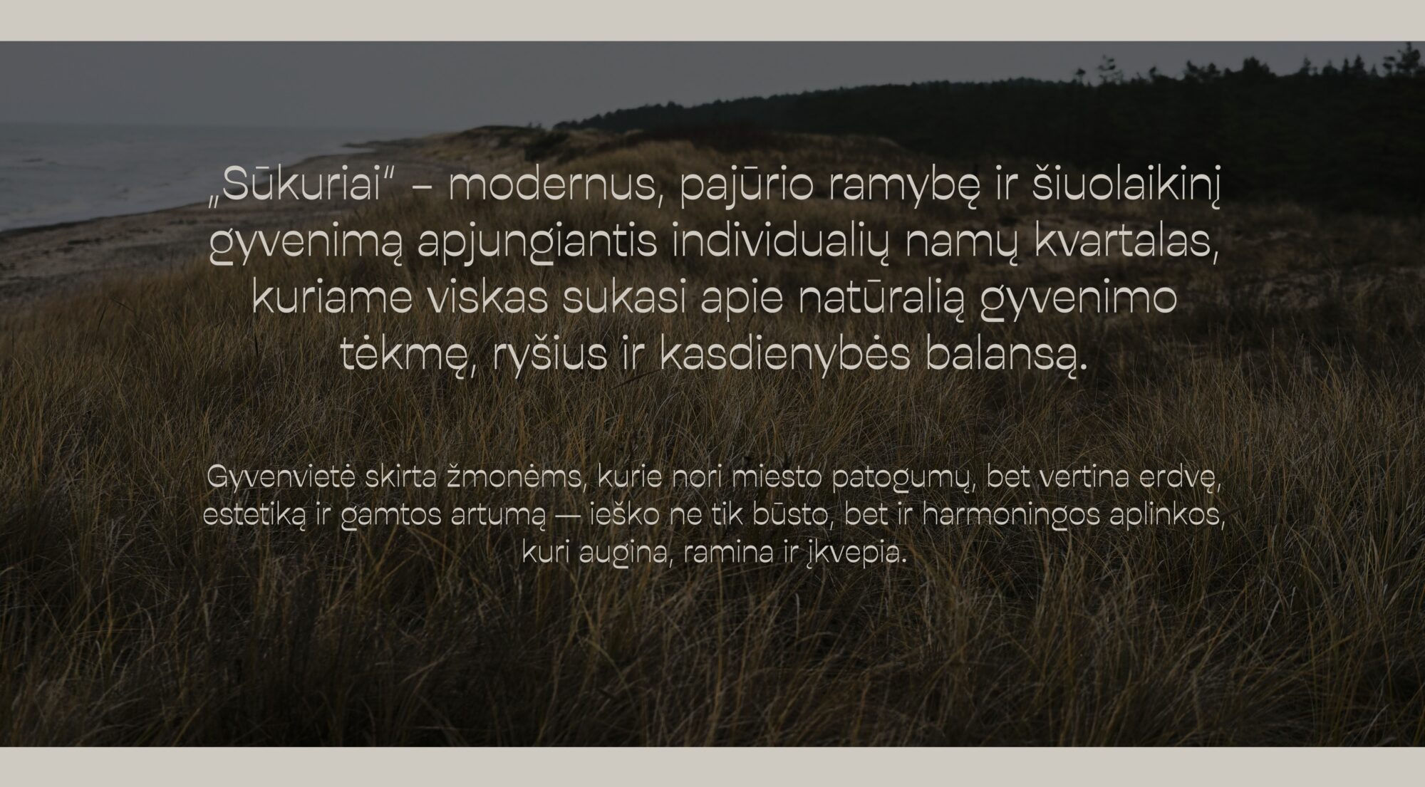 prekės ženklo kūrimo procesas