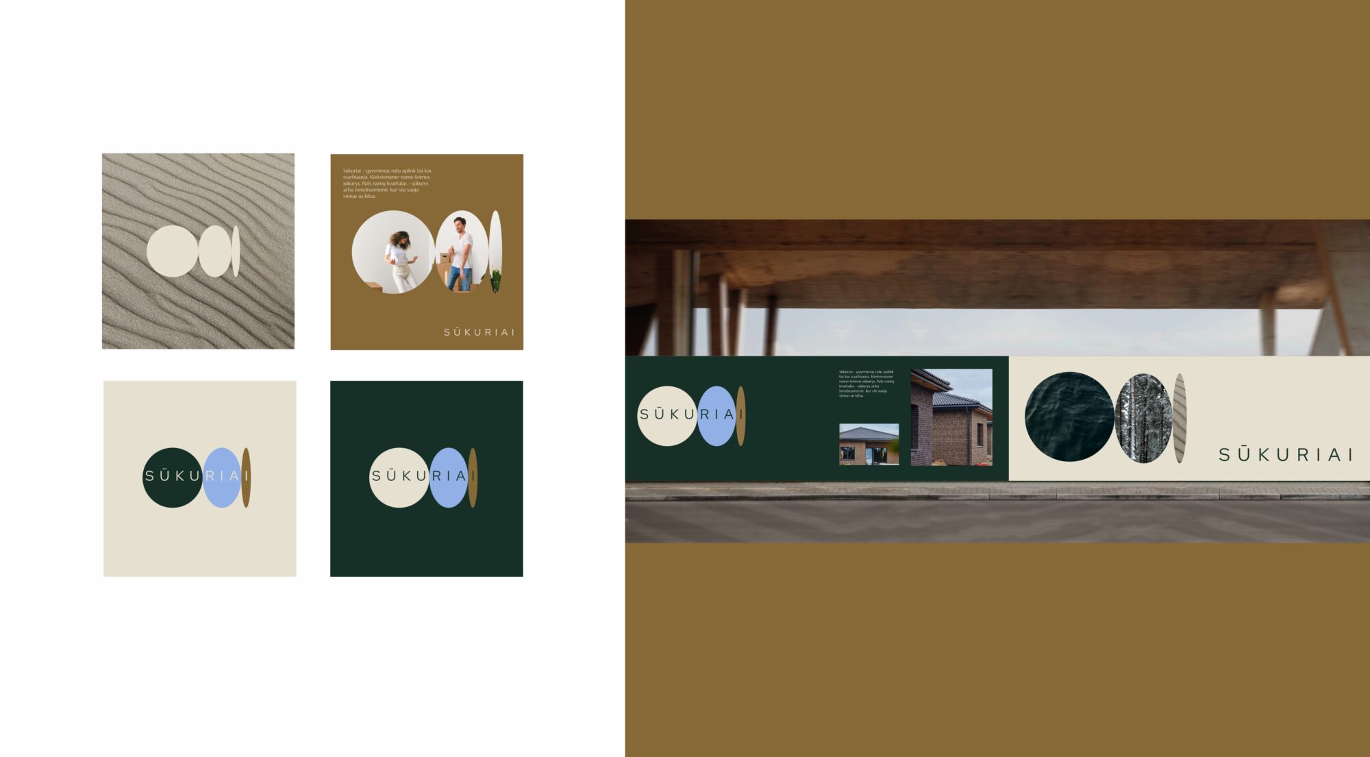 logotipų variantai nt projektui