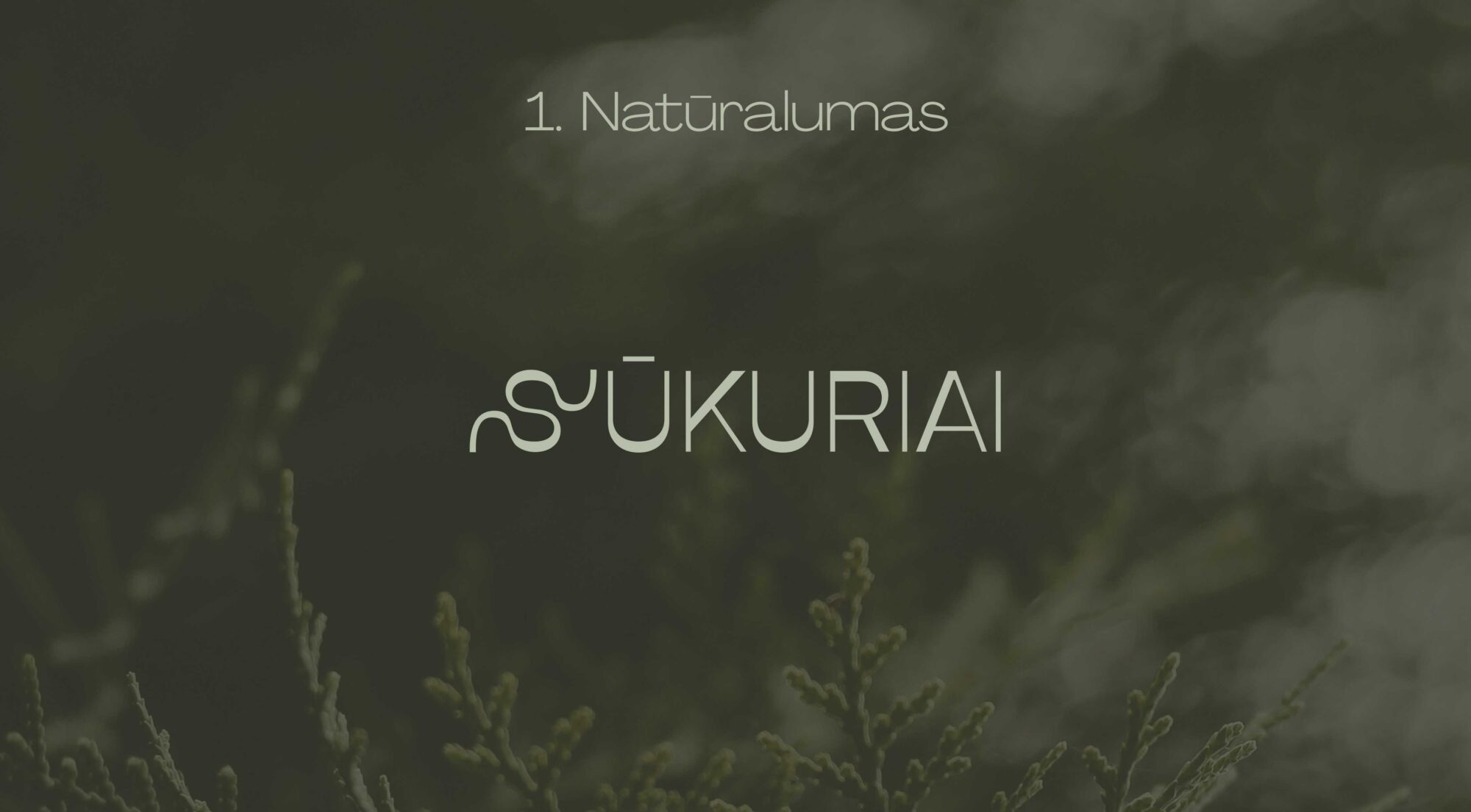 naturalus logotipas