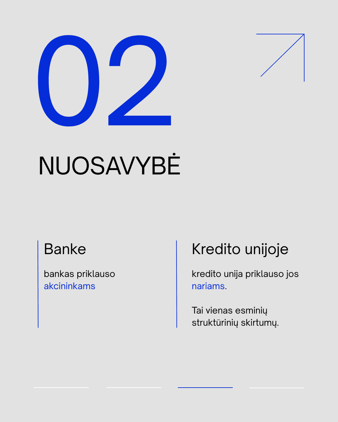 finansų įmonės dizainas