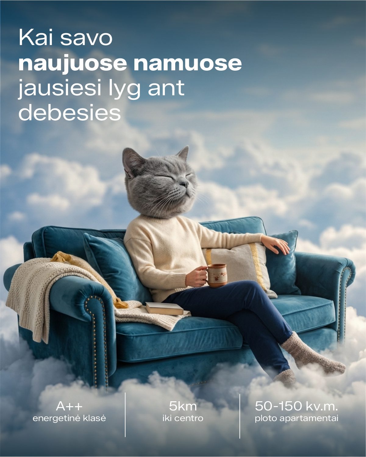 reklaminiai baneriai